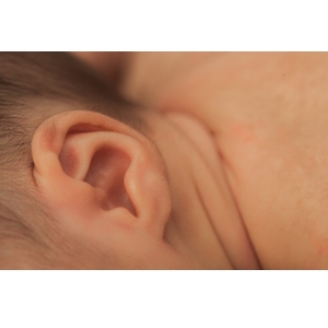 赤ちゃんの目と鼻と耳